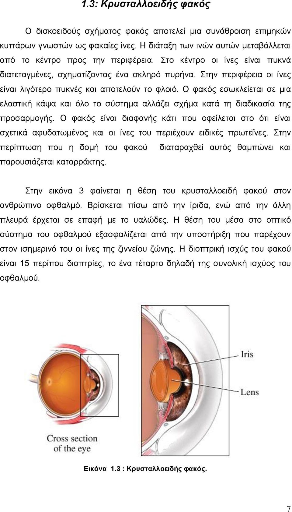 Ο θαθόο εζσθιείεηαη ζε κηα ειαζηηθή θάςα θαη όιν ην ζύζηεκα αιιάδεη ζρήκα θαηά ηε δηαδηθαζία ηεο πξνζαξκνγήο.