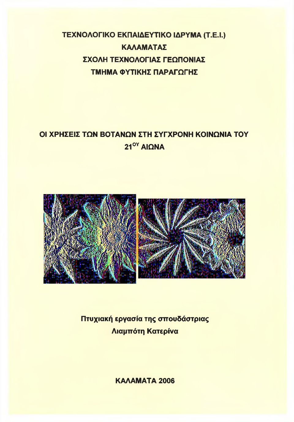 ΕΥΤΙΚΟ ΙΔΡΥΜΑ (Τ.Ε.Ι.) ΚΑΛΑΜΑΤΑΣ ΣΧΟΛΗ ΤΕΧΝΟΛΟΓΙΑΣ