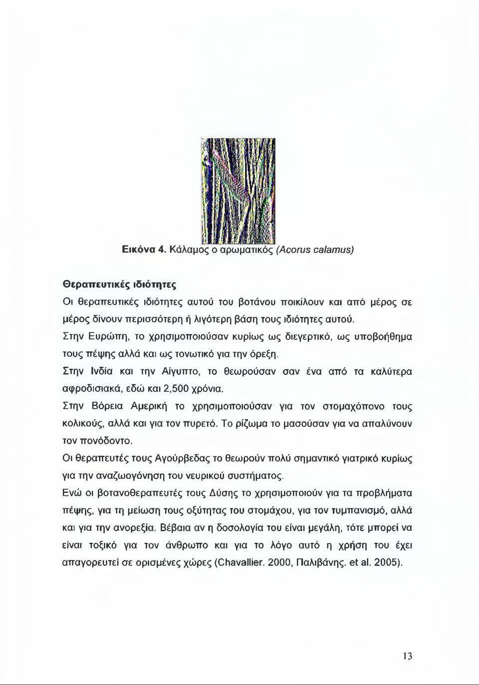 Στην Ευρώπη, το χρησιμοποιούσαν κυρίως ως διεγερτικό, ως υποβοήθημα τους πέψης αλλά και ως τονωτικό για την όρεξη.