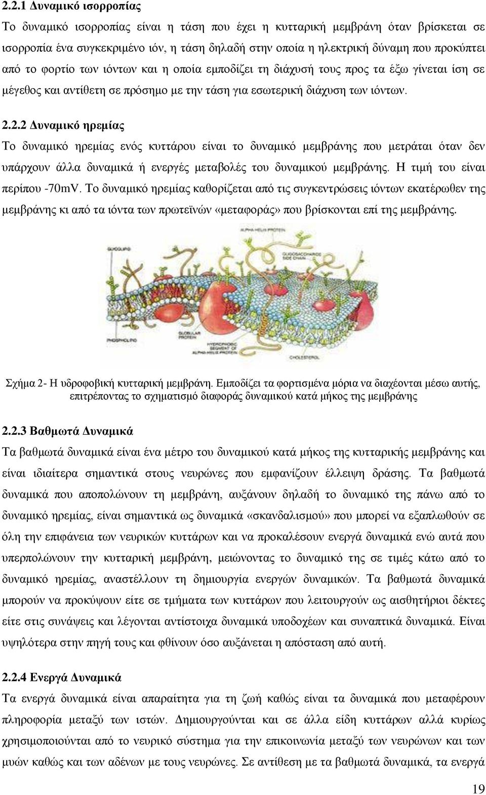 .. Γςναμικό ηπεμίαρ Σν δπλακηθφ εξεκίαο ελφο θπηηάξνπ είλαη ην δπλακηθφ κεκβξάλεο πνπ κεηξάηαη φηαλ δελ ππάξρνπλ άιια δπλακηθά ή ελεξγέο κεηαβνιέο ηνπ δπλακηθνχ κεκβξάλεο.