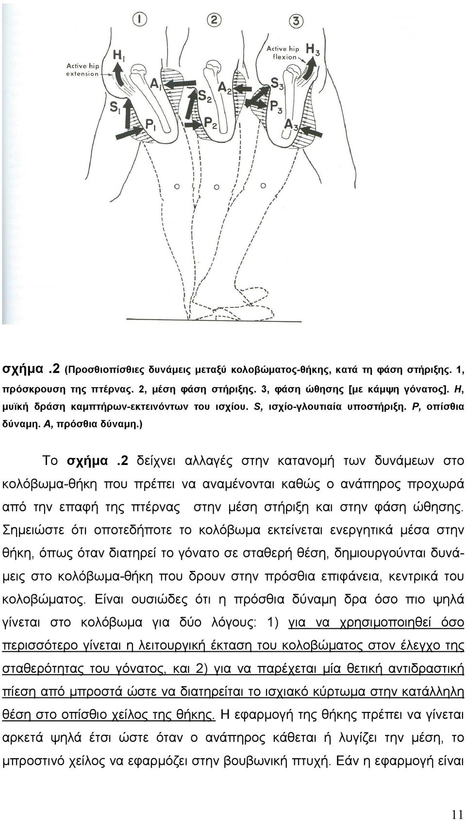 2 δείχνει αλλαγές στην κατανοµή των δυνάµεων στο κολόβωµα-θήκη που πρέπει να αναµένονται καθώς ο ανάπηρος προχωρά από την επαφή της πτέρνας στην µέση στήριξη και στην φάση ώθησης.