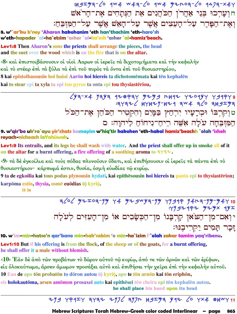 Lev1:8 Then Aharon s sons the priests shall arrange the pieces, the head and the suet over the wood which is on the fire that is on the altar.