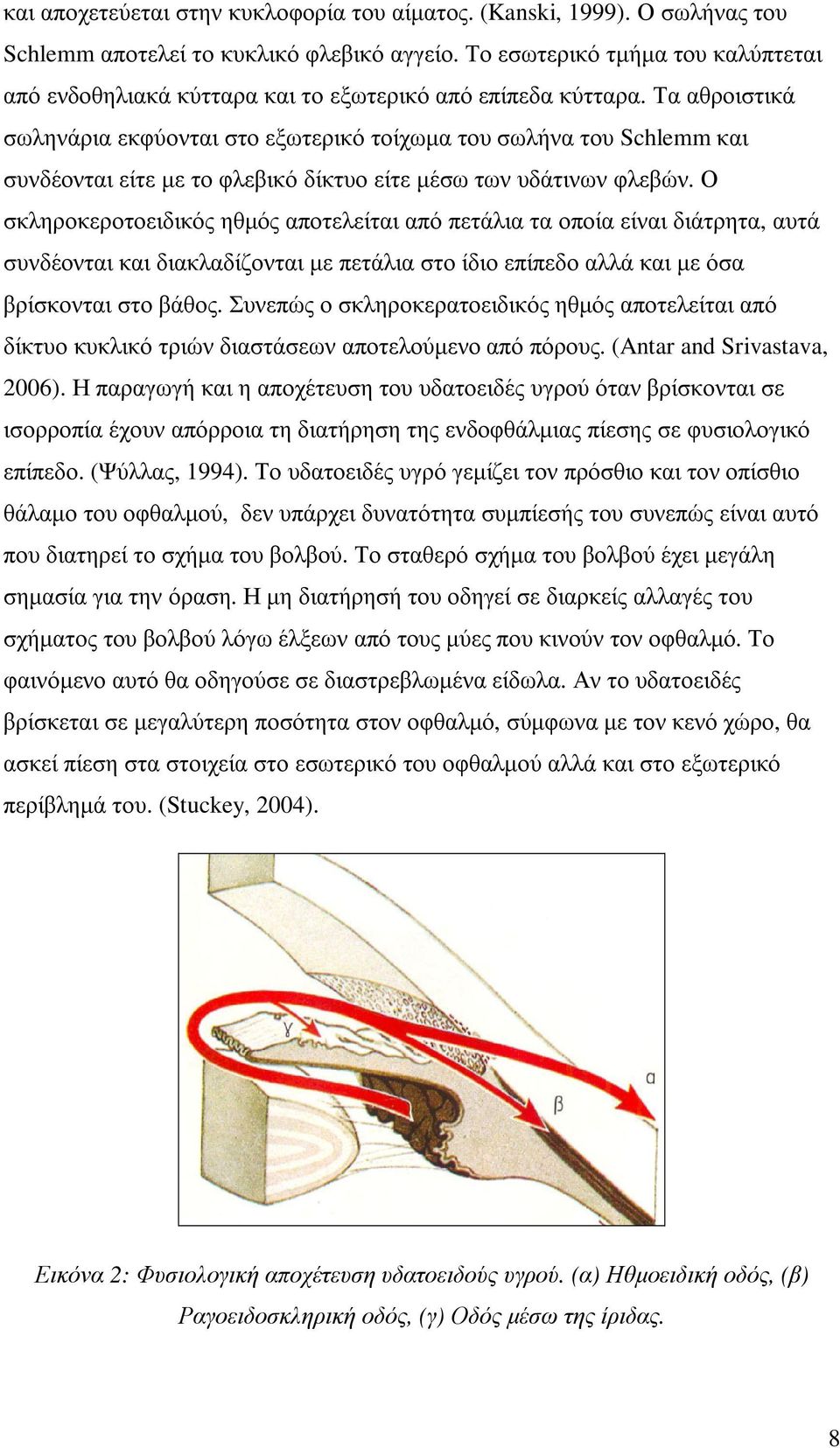 Τα αθροιστικά σωληνάρια εκφύονται στο εξωτερικό τοίχωµα του σωλήνα του Schlemm και συνδέονται είτε µε το φλεβικό δίκτυο είτε µέσω των υδάτινων φλεβών.