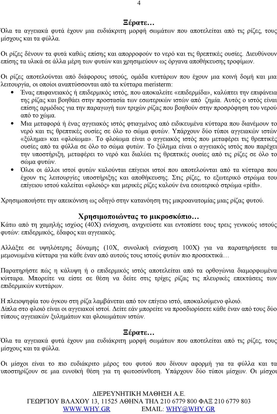 Οι ρίζες αποτελούνται από διάφορους ιστούς, ομάδα κυττάρων που έχουν μια κοινή δομή και μια λειτουργία, οι οποίοι αναπτύσσονται από τα κύτταρα meristerm: Ένας επιφανειακός ή επιδερμικός ιστός, που