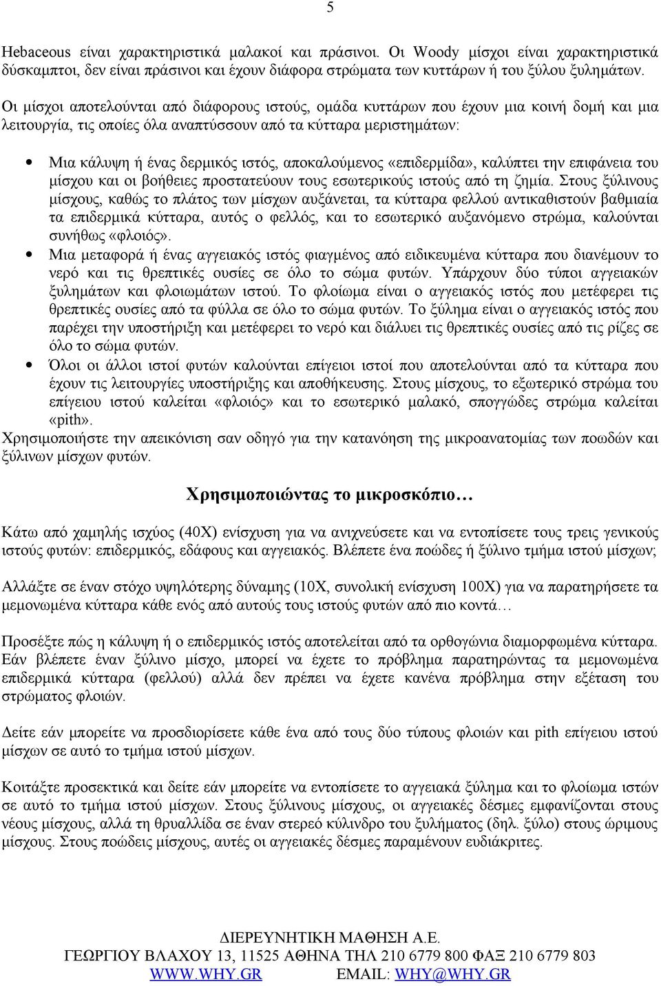 αποκαλούμενος «επιδερμίδα», καλύπτει την επιφάνεια του μίσχου και οι βοήθειες προστατεύουν τους εσωτερικούς ιστούς από τη ζημία.