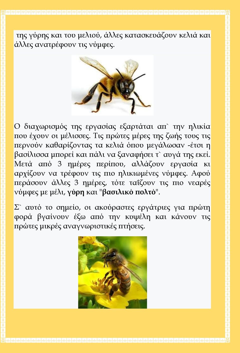 Μετά από 3 ημέρες περίπου, αλλάζουν εργασία κι αρχίζουν να τρέφουν τις πιο ηλικιωμένες νύμφες.