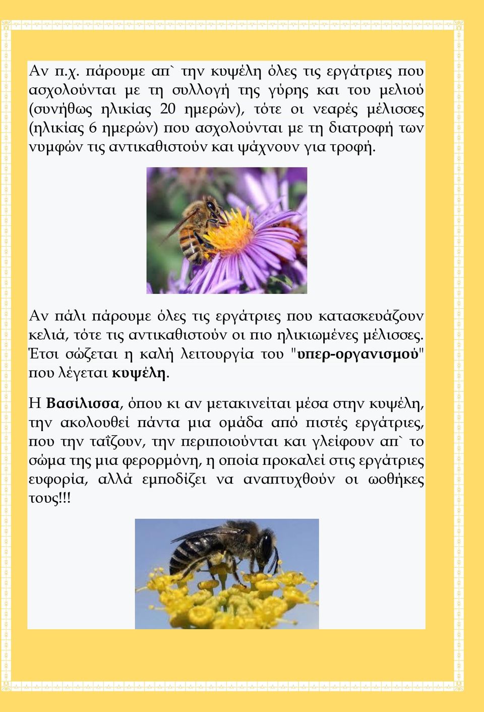 ασχολούνται με τη διατροφή των νυμφών τις αντικαθιστούν και ψάχνουν για τροφή.