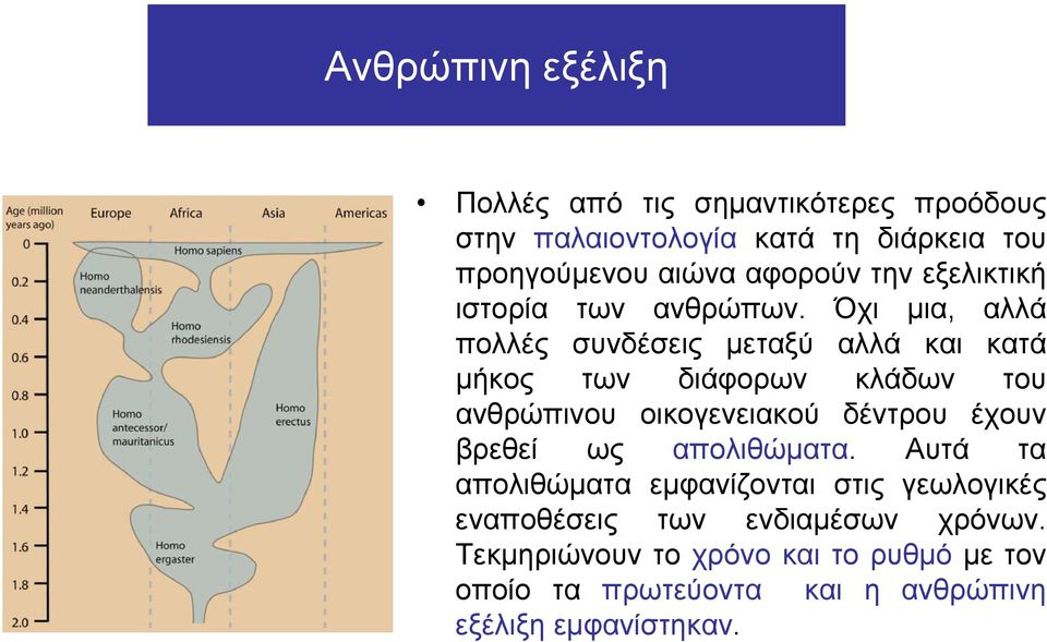 Όχι μια, αλλά πολλές συνδέσεις μεταξύ αλλά και κατά μήκος των διάφορων κλάδων του ανθρώπινου οικογενειακού δέντρου έχουν