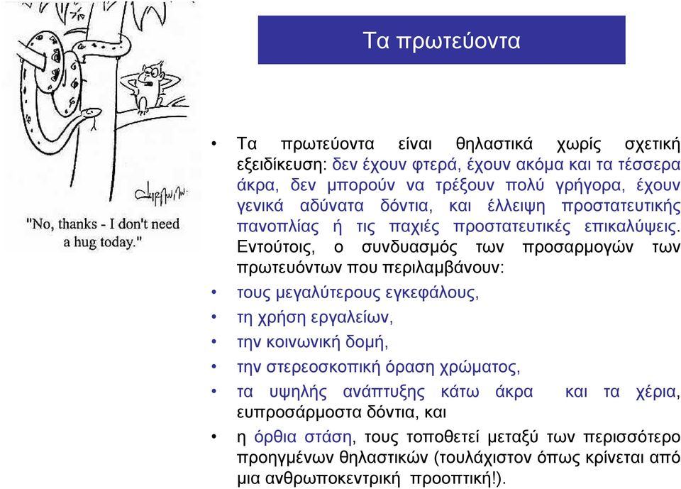 Εντούτοις, ο συνδυασμός των προσαρμογών των πρωτευόντων που περιλαμβάνουν: τους μεγαλύτερους εγκεφάλους, τη χρήση εργαλείων, την κοινωνική δομή, την στερεοσκοπική