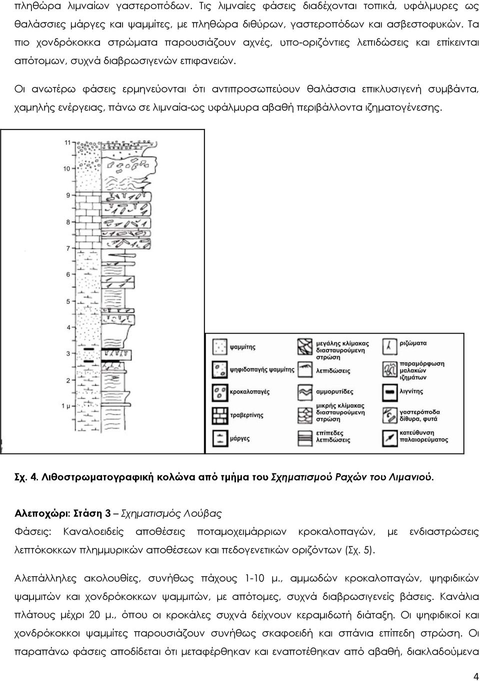 Οι ανωτέρω φάσεις ερμηνεύονται ότι αντιπροσωπεύουν θαλάσσια επικλυσιγενή συμβάντα, χαμηλής ενέργειας, πάνω σε λιμναία-ως υφάλμυρα αβαθή περιβάλλοντα ιζηματογένεσης. Σχ. 4.