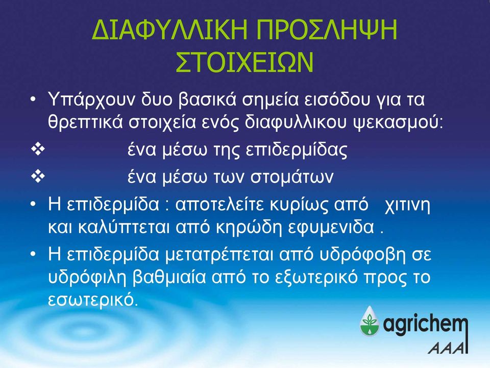 επιδερμίδα : αποτελείτε κυρίως από χιτινη και καλύπτεται από κηρώδη εφυμενιδα.