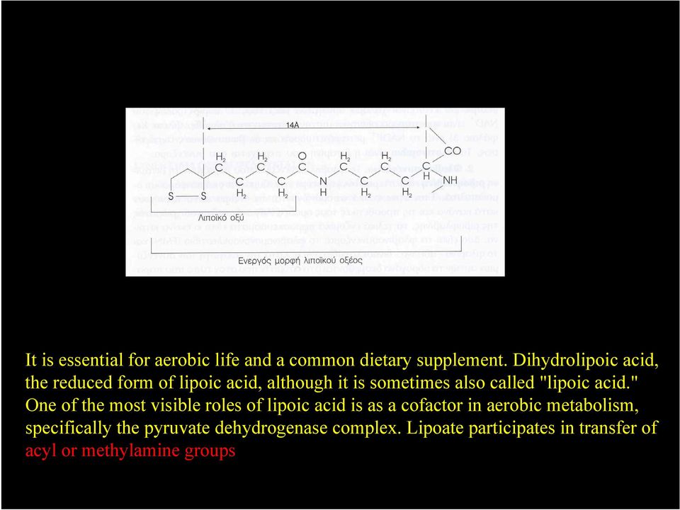 "lipoic acid.