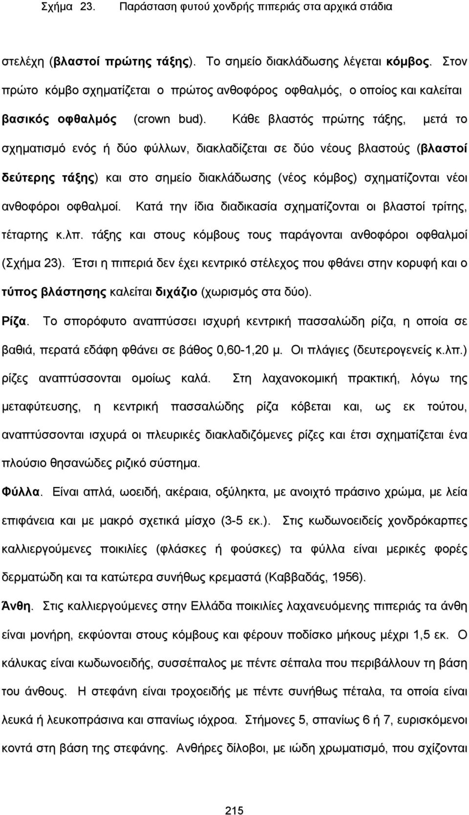 Κάθε βλαστός πρώτης τάξης, μετά το σχηματισμό ενός ή δύο φύλλων, διακλαδίζεται σε δύο νέους βλαστούς (βλαστοί δεύτερης τάξης) και στο σημείο διακλάδωσης (νέος κόμβος) σχηματίζονται νέοι ανθοφόροι