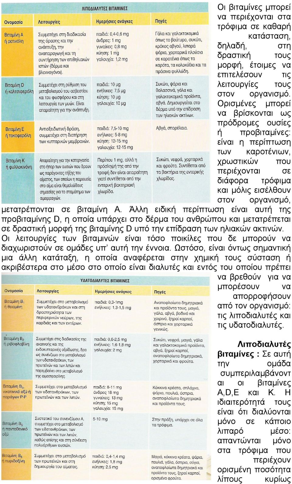 βιταµίνη Α. Άλλη ειδική περίπτωση είναι αυτή της προβιταµίνης D, η οποία υπάρχει στο δέρµα του ανθρώπου και µετατρέπεται σε δραστική µορφή της βιταµίνης D υπό την επίδραση των ηλιακών ακτινών.