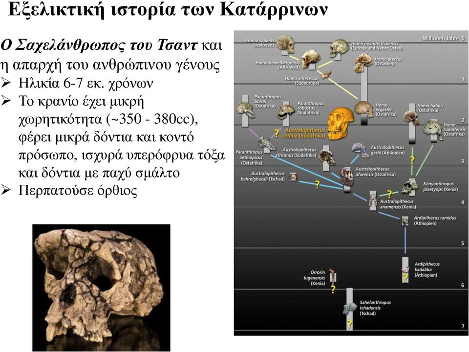 ρξόλσλ Σν θξαλίν έρεη κηθξή ρσξεηηθόηεηα (~350-380cc), θέξεη κηθξά