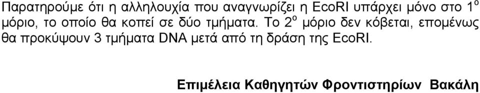 Το 2 ο μόριο δεν κόβεται, επομένως θα προκύψουν 3 τμήματα DNA