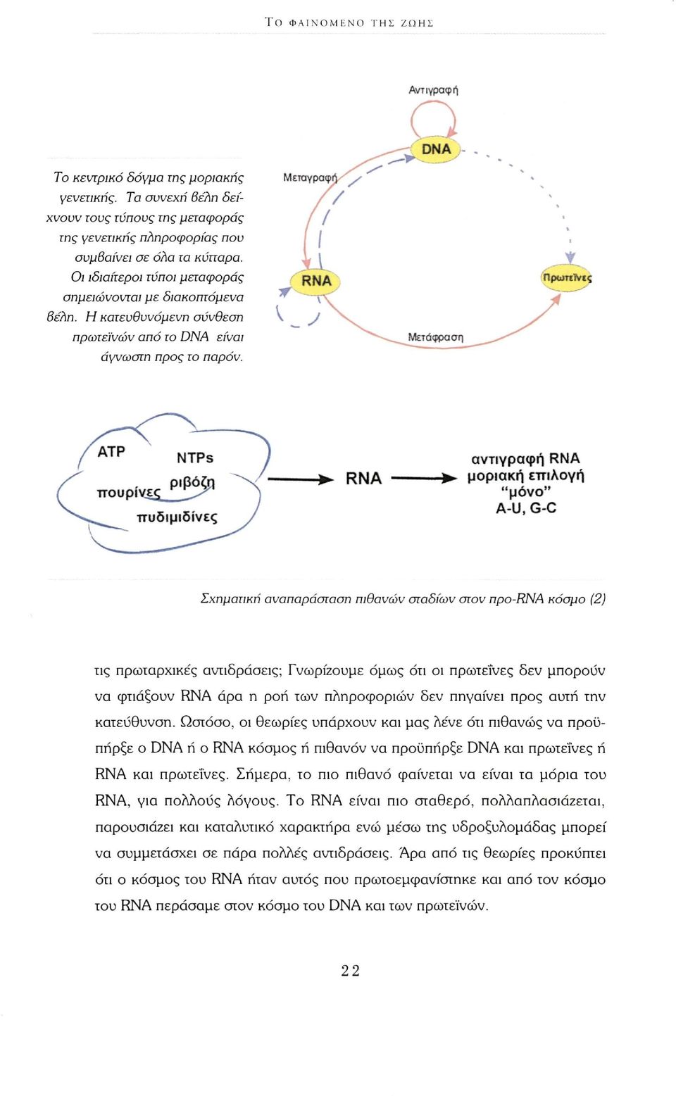 RNA αντιγραφή RNA -> μοριακή επιλογή "μόνο" A-U, G-C Σχηματική αναπαράσταση πιθανών σταδίων στον npo-rna κόσμο (2) τις πρωταρχικές αντιδράσεις; Γνωρίζουμε όμως ότι οι πρωτεΐνες δεν μπορούν να