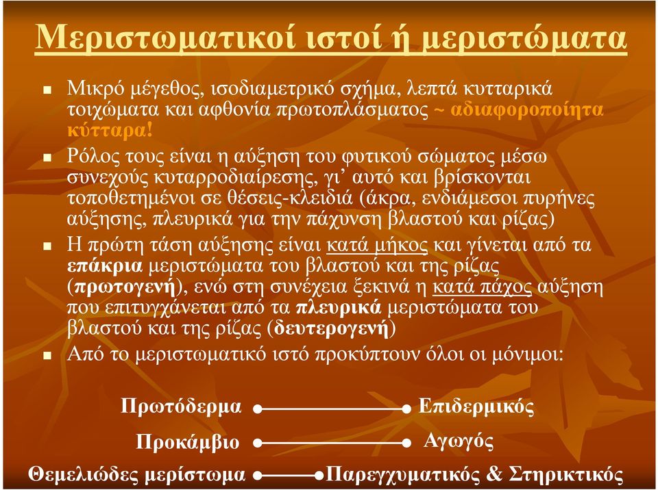 πάχυνση βλαστού και ρίζας) Η πρώτη τάση αύξησης είναι κατά µήκοςκαι και γίνεται από τα επάκριαµεριστώµατα του βλαστού και της ρίζας (πρωτογενή), ενώ στη συνέχεια ξεκινά η κατά πάχοςαύξηση