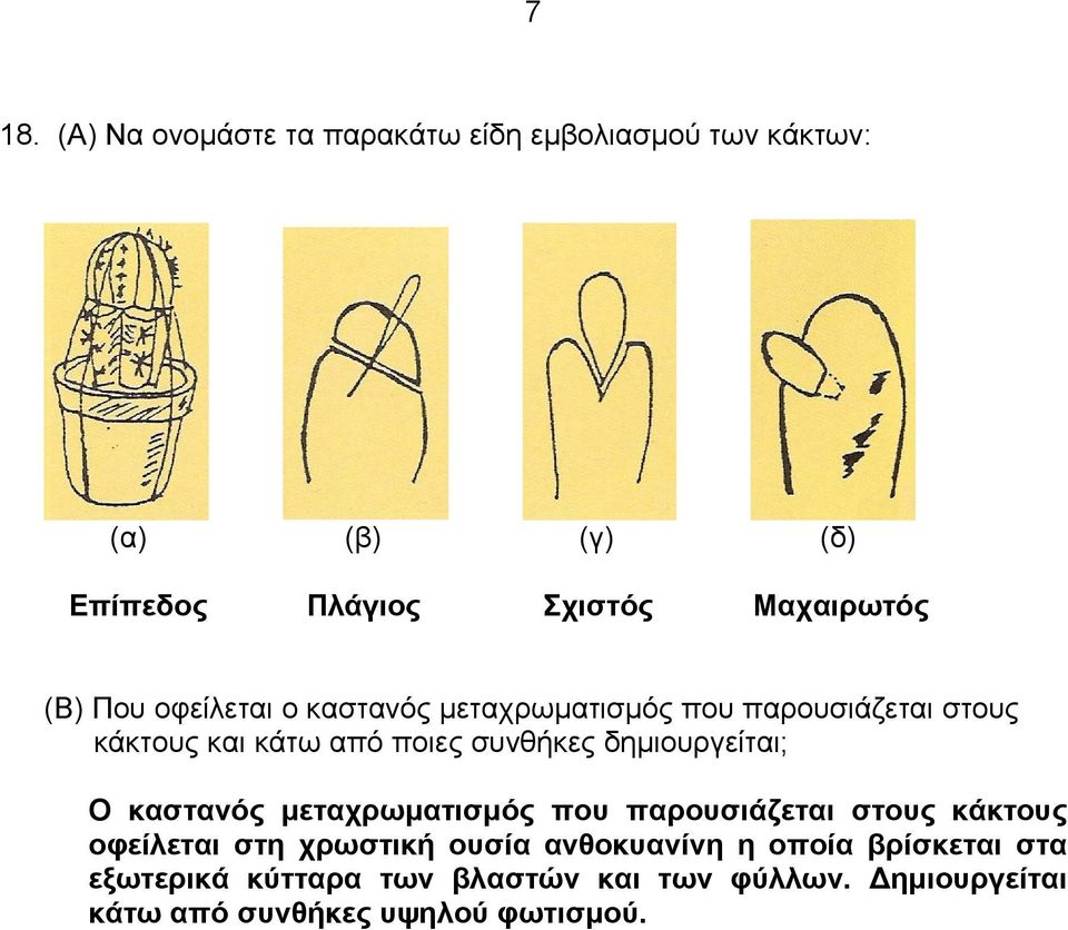 συνθήκες δημιουργείται; Ο καστανός μεταχρωματισμός που παρουσιάζεται στους κάκτους οφείλεται στη χρωστική ουσία