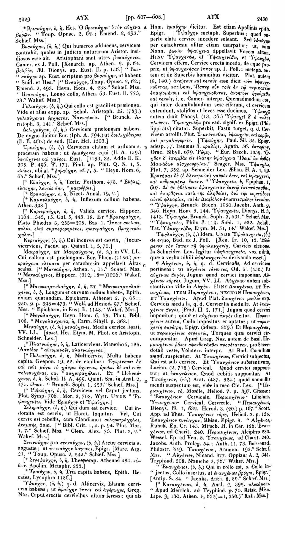 64. βολβόε, Μ. Dionys. ap. Eust. II. p. 156.] " Bi/e> " σαύχην ap. Eust. scriptum pro βνσαύχην, ut habent " Suid. et Hes." [" Βυσαυχην, Toup. Opusc. 2, 62.; Emend. 2, 493. Heyn. Hom. 4, 238/'Schaef.