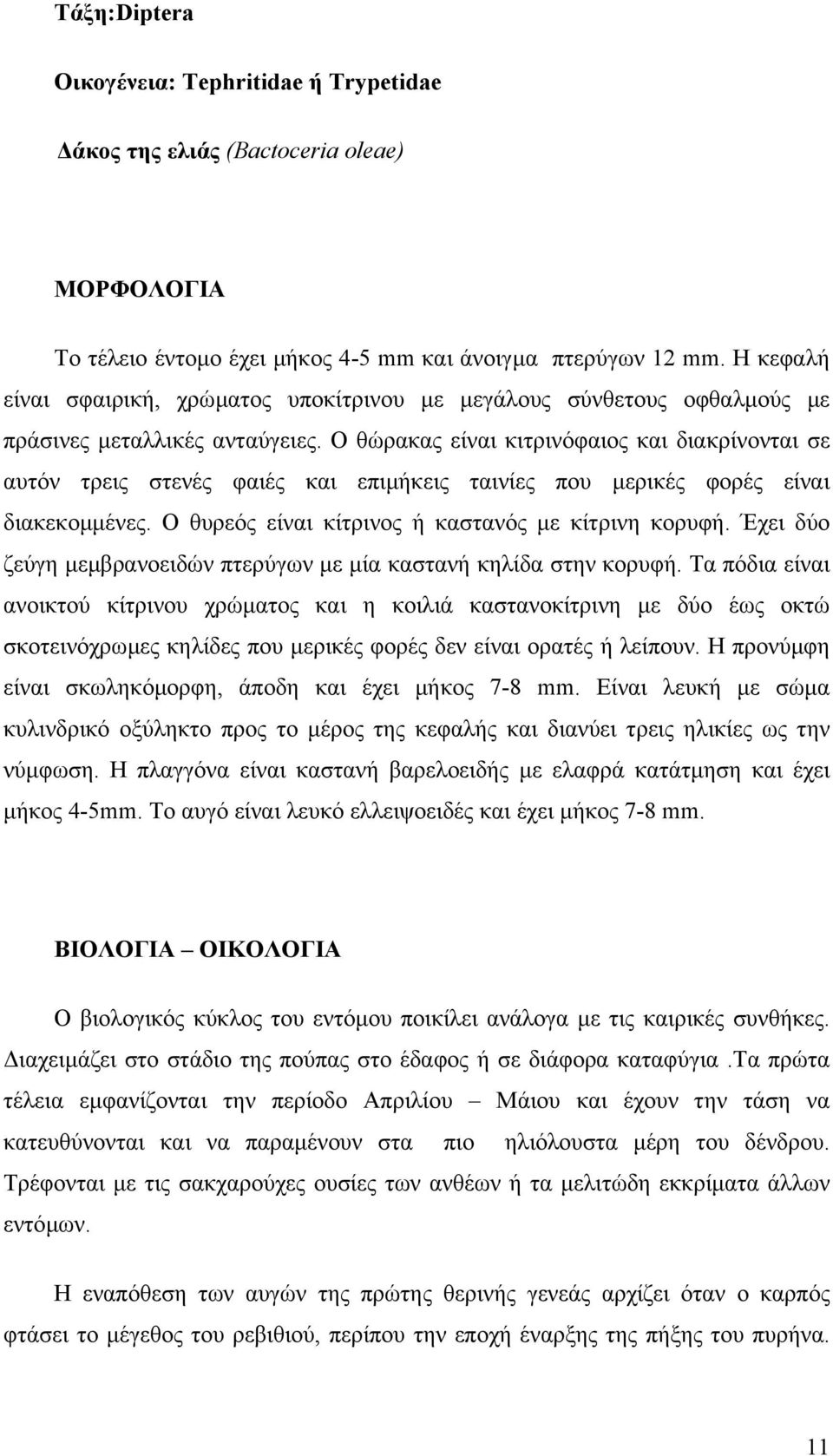 Ο θώρακας είναι κιτρινόφαιος και διακρίνονται σε αυτόν τρεις στενές φαιές και επιµήκεις ταινίες που µερικές φορές είναι διακεκοµµένες. Ο θυρεός είναι κίτρινος ή καστανός µε κίτρινη κορυφή.