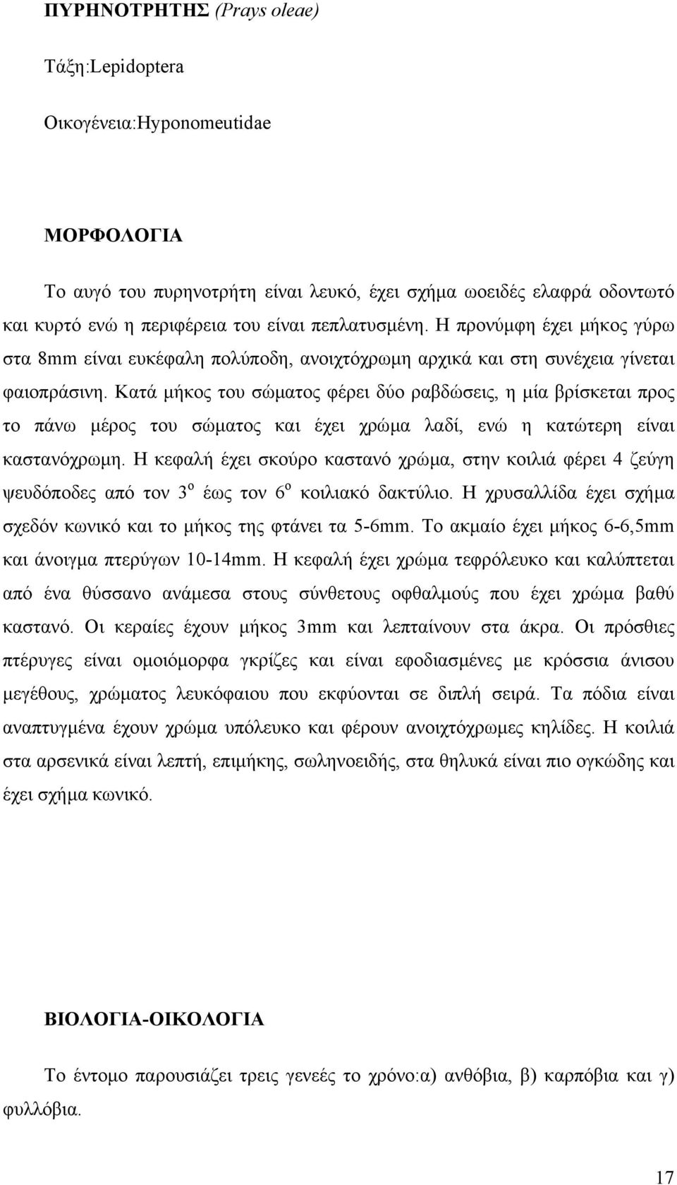 Κατά µήκος του σώµατος φέρει δύο ραβδώσεις, η µία βρίσκεται προς το πάνω µέρος του σώµατος και έχει χρώµα λαδί, ενώ η κατώτερη είναι καστανόχρωµη.