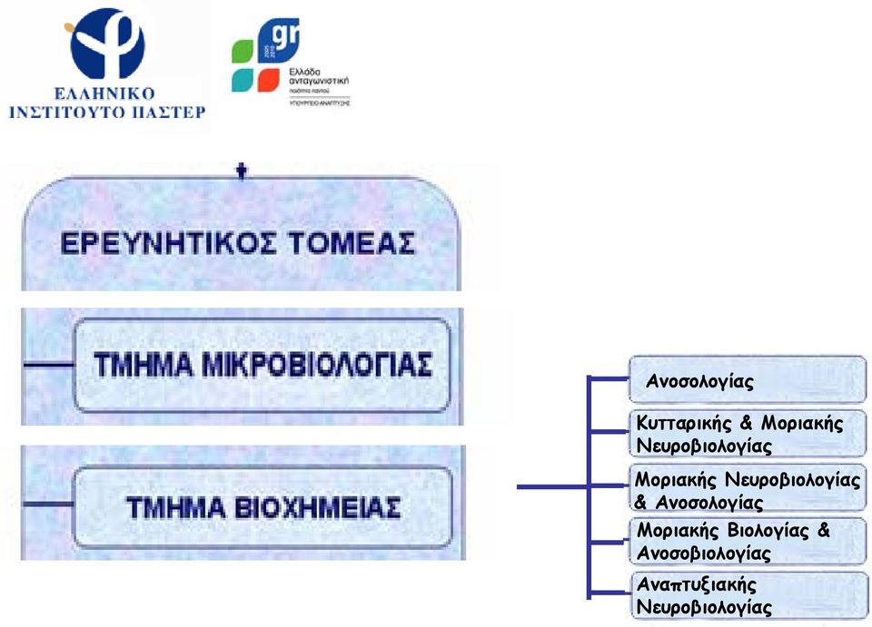 Νευροβιολογίας & Ανοσολογίας Μοριακής