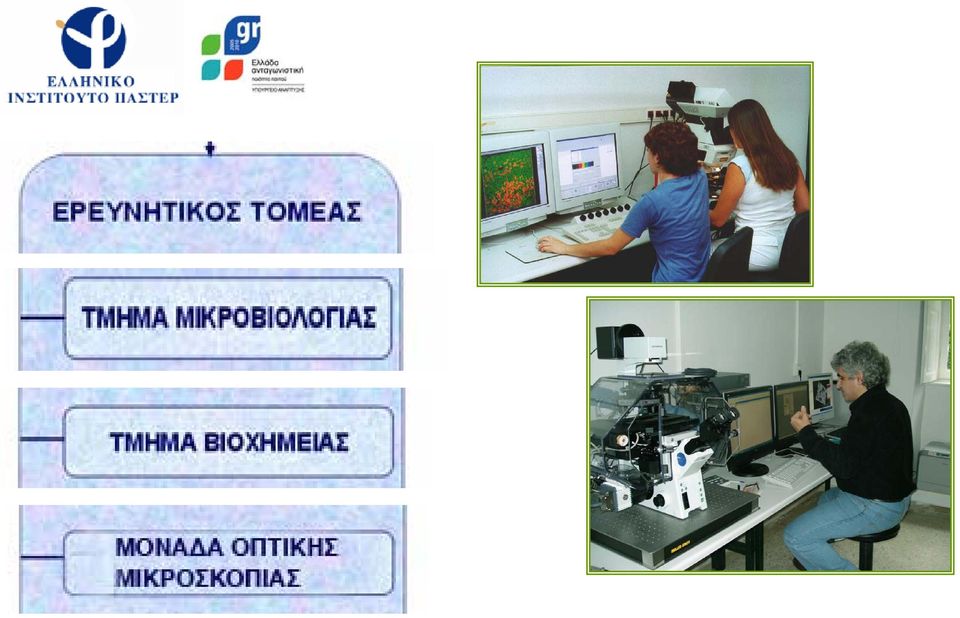 Γενετικής Μοριακής Νευροβιολογίας & Μοριακής Ανοσολογίας Ιολογίας Μοριακής