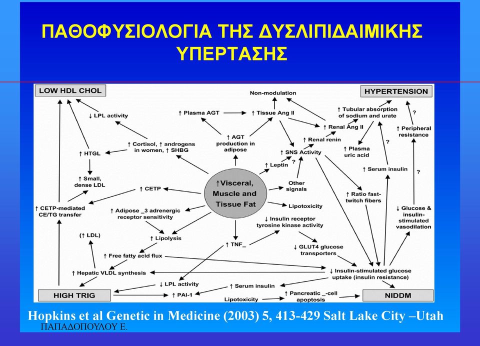 Hopkins et al Genetic in