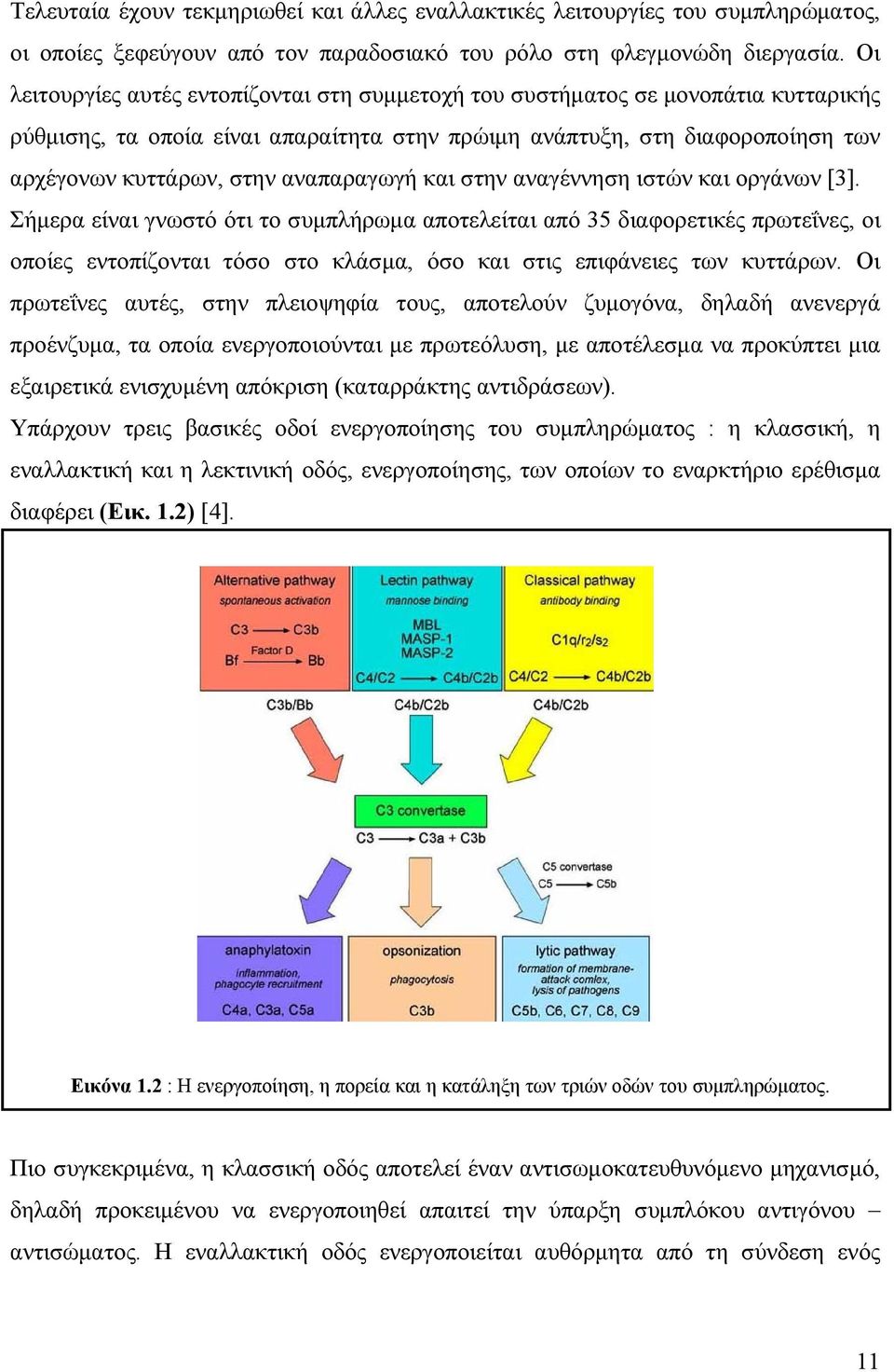 αναπαραγωγή και στην αναγέννηση ιστών και οργάνων [3].