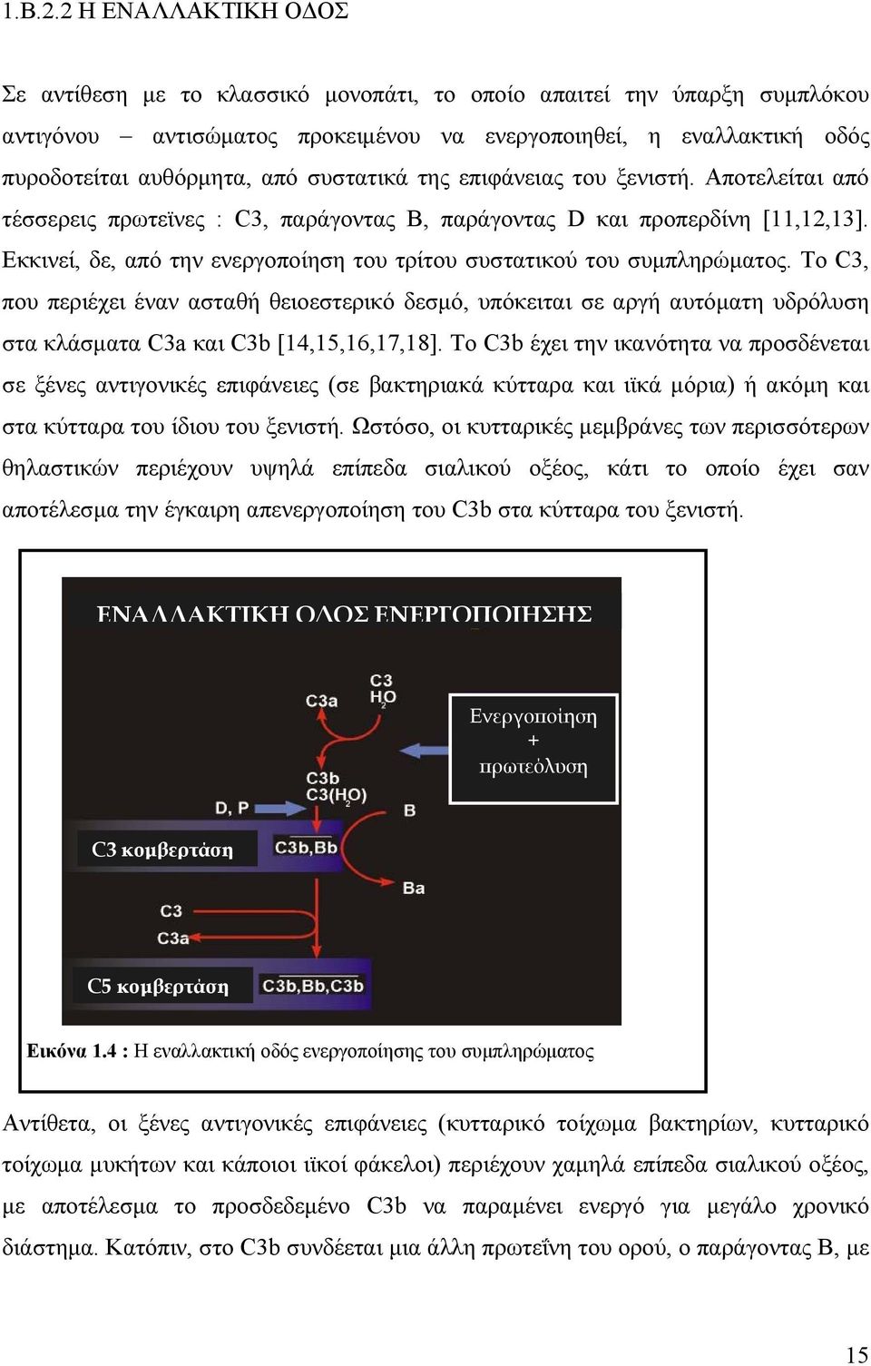 συστατικά της επιφάνειας του ξενιστή. Αποτελείται από τέσσερεις πρωτεϊνες : C3, παράγοντας Β, παράγοντας D και προπερδίνη [11,12,13].