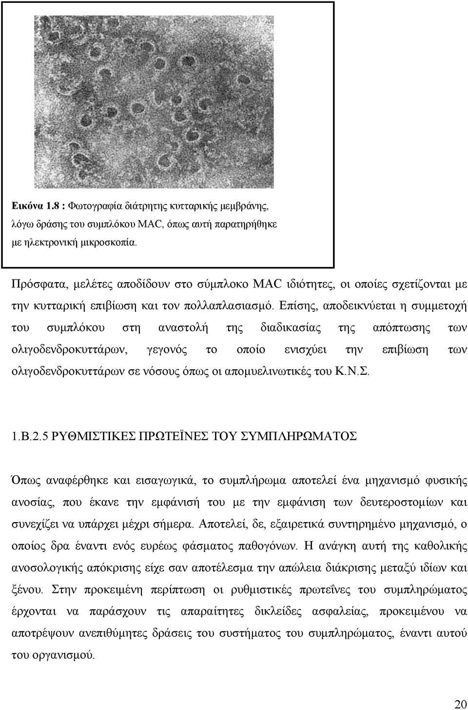 Επίσης, αποδεικνύεται η συμμετοχή του συμπλόκου στη αναστολή της διαδικασίας της απόπτωσης των ολιγοδενδροκυττάρων, γεγονός το οποίο ενισχύει την επιβίωση των ολιγοδενδροκυττάρων σε νόσους όπως οι