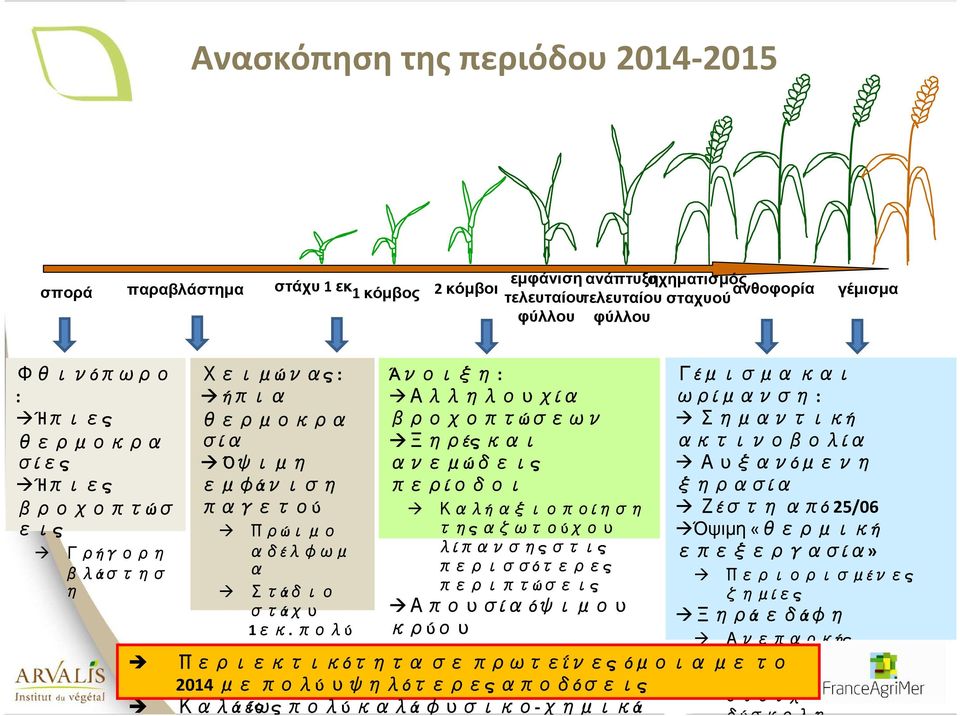 πολύ κοντά στις πολυετε ίς Άνοιξη: Αλληλουχία βροχοπτώσεων Ξηρές και ανεμώδεις περίοδοι Καλή αξιοποίηση της αζωτούχου λίπανσης στις περισσότερες περιπτώσεις Απουσία όψιμου κρύου Περιεκτικότητα Ήπιες