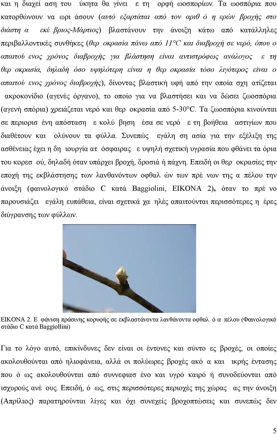 θερμοκρασία πάνω από 11 C και διαβροχή σε νερό, όπου ο απαιτούμενος χρόνος διαβροχής για βλάστηση είναι αντιστρόφως ανάλογος με τη θερμοκρασία, δηλαδή όσο υψηλότερη είναι η θερμοκρασία τόσο λιγότερος