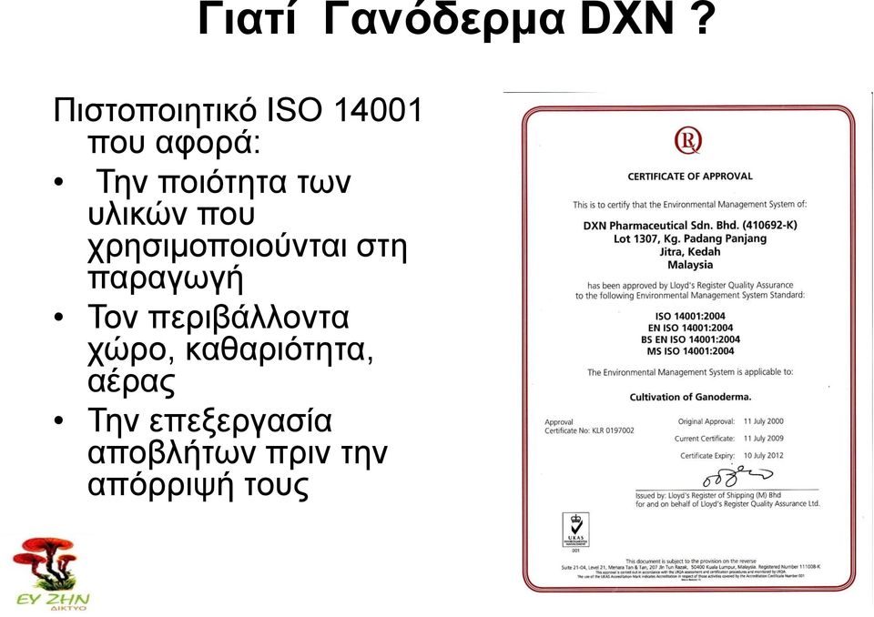 ησλ πιηθώλ πνπ ρξεζηκνπνηνύληαη ζηε παξαγσγή Τνλ