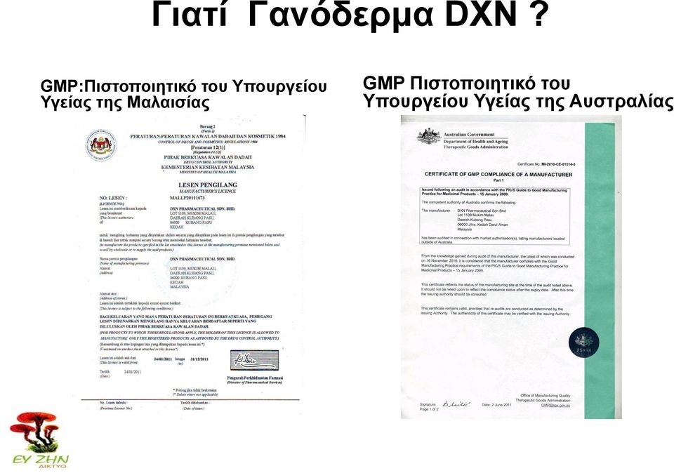 Υγείαρ ηηρ Μαλαιζίαρ GMP