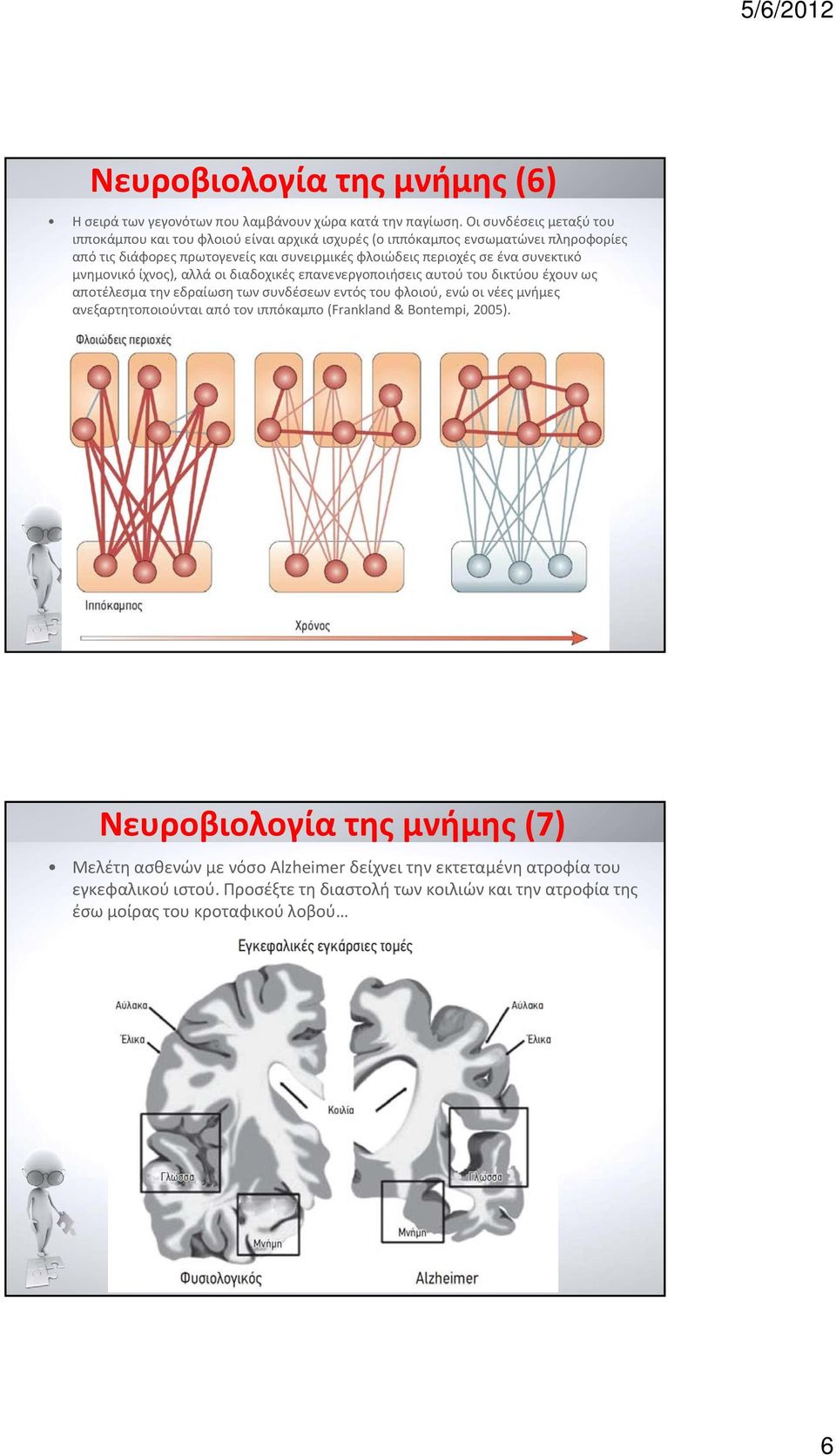 ένα συνεκτικό μνημονικό ίχνος), αλλά οι διαδοχικές επανενεργοποιήσεις αυτού του δικτύου έχουν ως αποτέλεσμα την εδραίωση των συνδέσεων εντός του φλοιού, ενώ οι νέες μνήμες