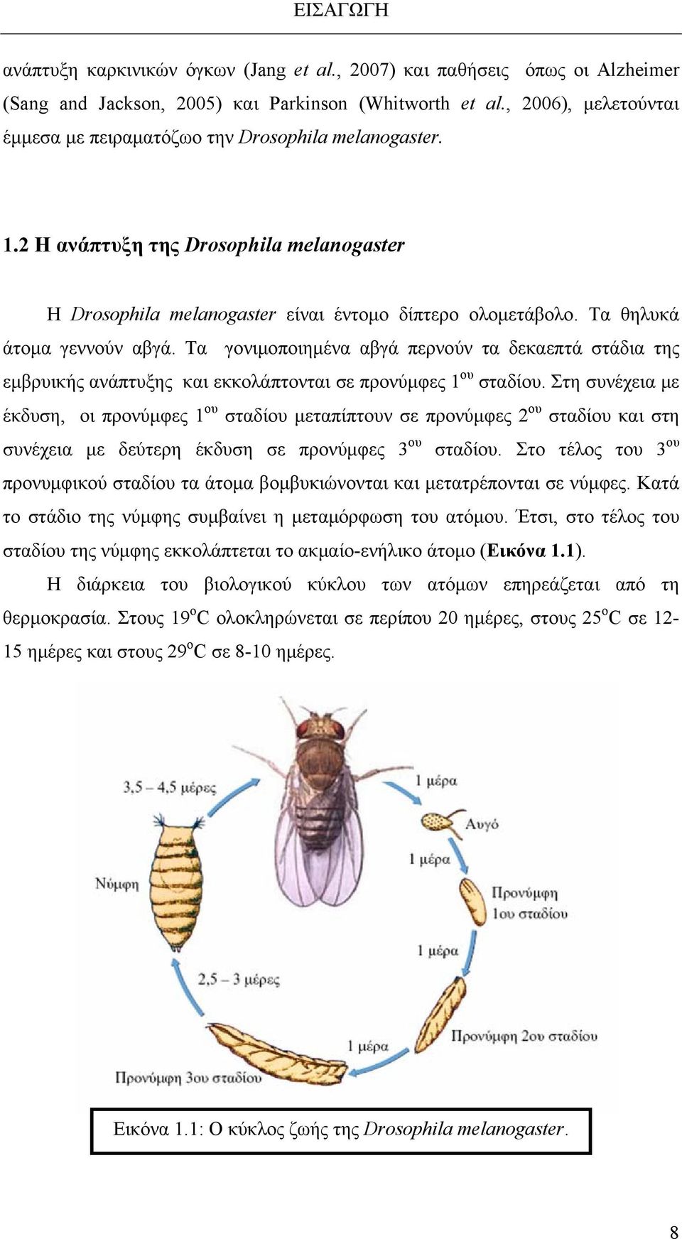 Τα θηλυκά άτομα γεννούν αβγά. Τα γονιμοποιημένα αβγά περνούν τα δεκαεπτά στάδια της εμβρυικής ανάπτυξης και εκκολάπτονται σε προνύμφες 1 ου σταδίου.