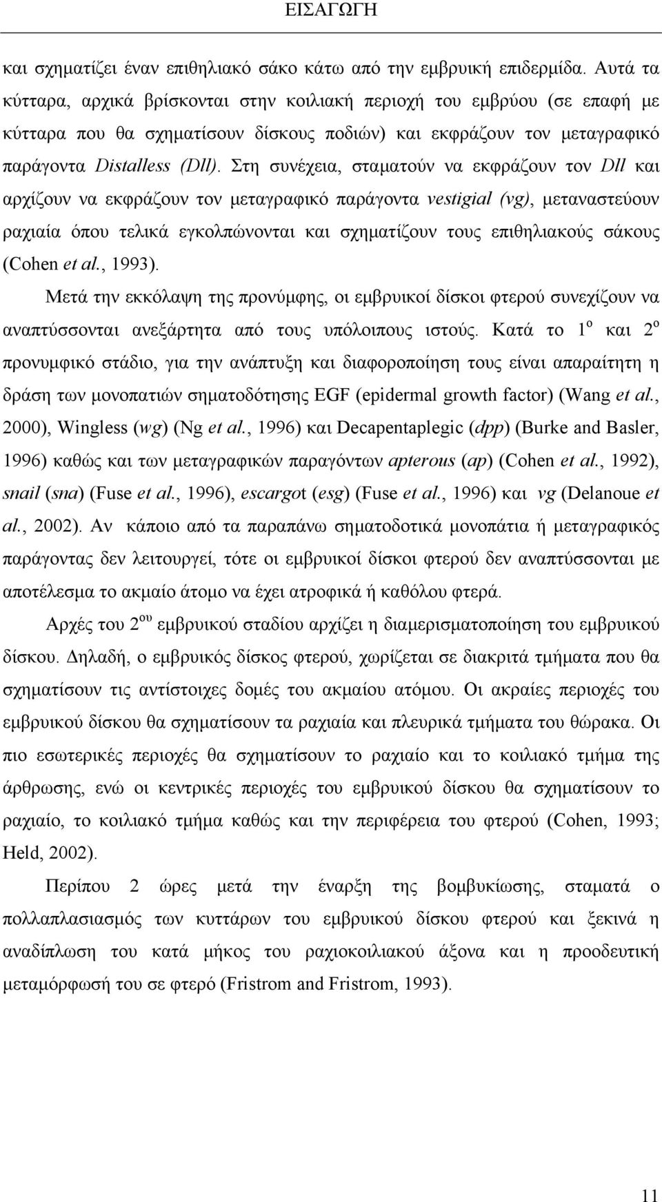 Στη συνέχεια, σταματούν να εκφράζουν τον Dll και αρχίζουν να εκφράζουν τον μεταγραφικό παράγοντα vestigial (vg), μεταναστεύουν ραχιαία όπου τελικά εγκολπώνονται και σχηματίζουν τους επιθηλιακούς