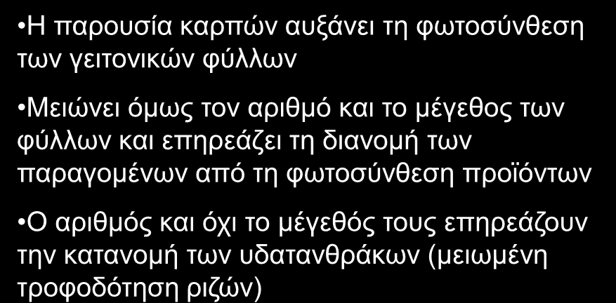 ΦΩΤΟΣΥΝΘΕΤΙΚΗ ΔΡΑΣΤΗΡΙΟΤΗΤΑ Εξαρτάται από πολλούς παράγοντες: Η παρουσία καρπών αυξάνει τη φωτοσύνθεση των γειτονικών φύλλων Ενδογενείς ή εσωτερικούς Μειώνει όμως τον αριθμό και το μέγεθος των φύλλων