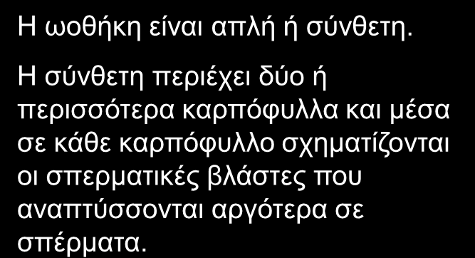 ΑΝΘΗ Προέρχονται από απλούς ή μικτούς ανθοφόρους οφθαλμούς Είναι όργανα εγγενούς πολλαπλασιασμού και από αυτά προέρχονται οι καρποί Μορφολογία άνθους Ποδίσκος Ανθοδόχη Σέπαλα (κάλυκας) Πέταλα