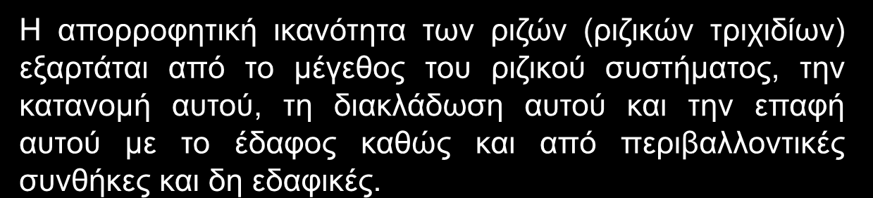 ΛΕΙΤΟΥΡΓΙΑ ΡΙΖΩΝ Η ρίζα ασκεί τις ακόλουθες λειτουργίες: Στήριξη Απορρόφηση και μεταφορά νερού Απορρόφηση και μεταφορά θρεπτικών στοιχείων Σύνθεση φυτο-ρυθμιστικών ουσιών Αποθήκευση θρεπτικών