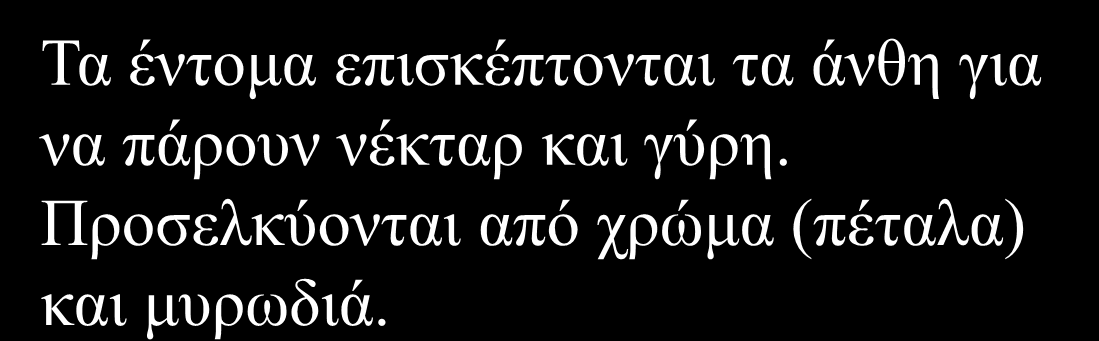 Παράγοντες που επηρεάζουν την επικονίαση και γονιμοποίηση Σε πολλά είδη η γύρη μεταφέρεται με τον άνεμο (ανεμόφιλα, φιστικιά, καστανιά, καρυδιά) ενώ σε άλλα με έντομα (μέλισσες ή βομβίνοι)(μηλιά,