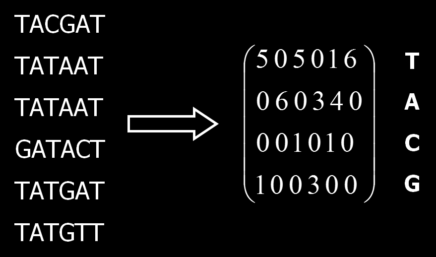 Frequency matrix