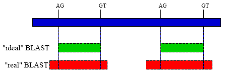 Ομολογία GeneWise http://www.ebi.ac.