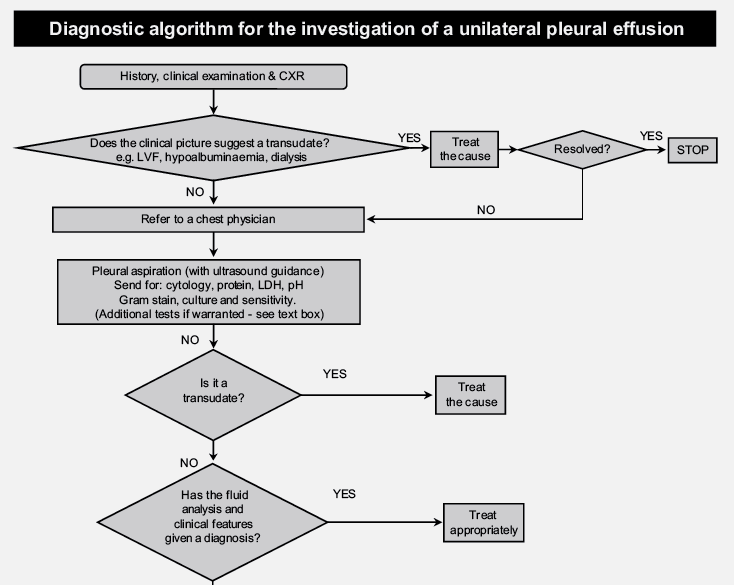 BTS guidelines.