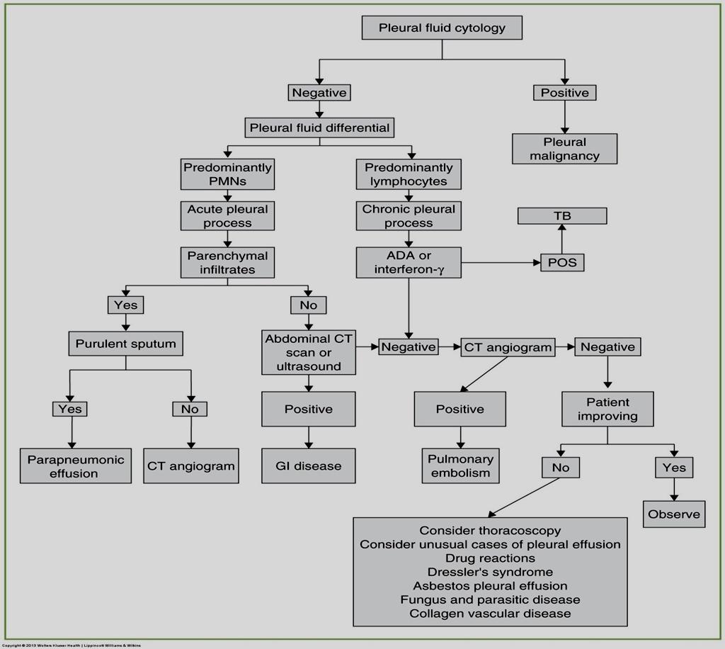 Pleural Diseases,