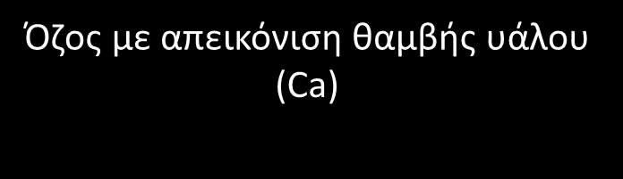 Πυκνότητα όζου Συμπαγής, ημισυμπαγής, θαμβή