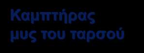 Εκτείνοντας μυς του ταρσού Ταρσός Νύχι