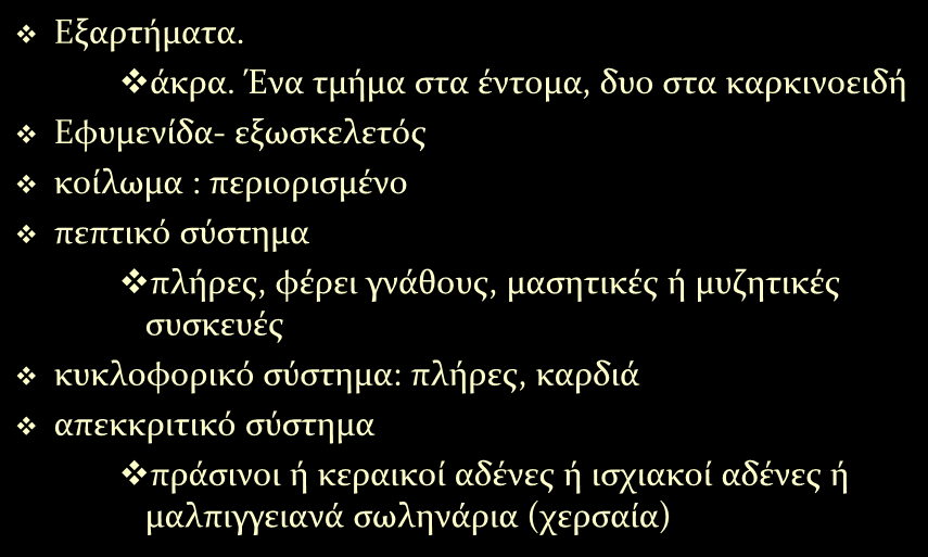 Γενικά χαρακτηριστικά των αρθροπόδων Εξαρτήματα. άκρα.